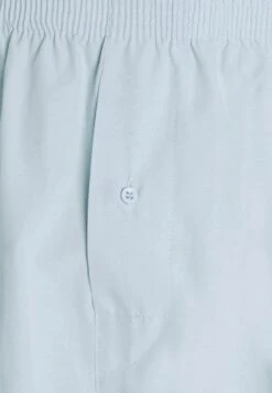 Pier One 5 Pack - Boxershort - Light Blue/White 15 Pier One 5 Pack - Boxershort - Light Blue/White -Herenkleding Winkel 8d526a81d413439291c57bcecfa7d443